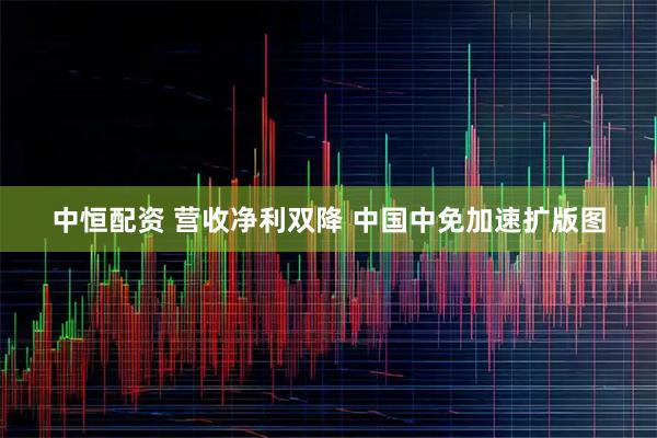 中恒配资 营收净利双降 中国中免加速扩版图